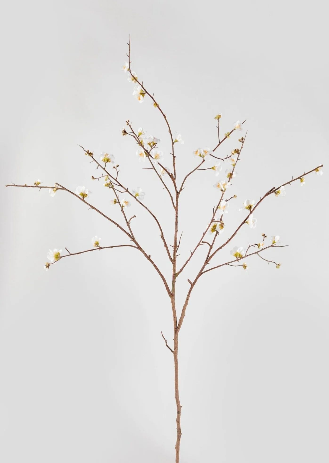 Faux Quince Blossom Branch in Cream - 54" | Afloral