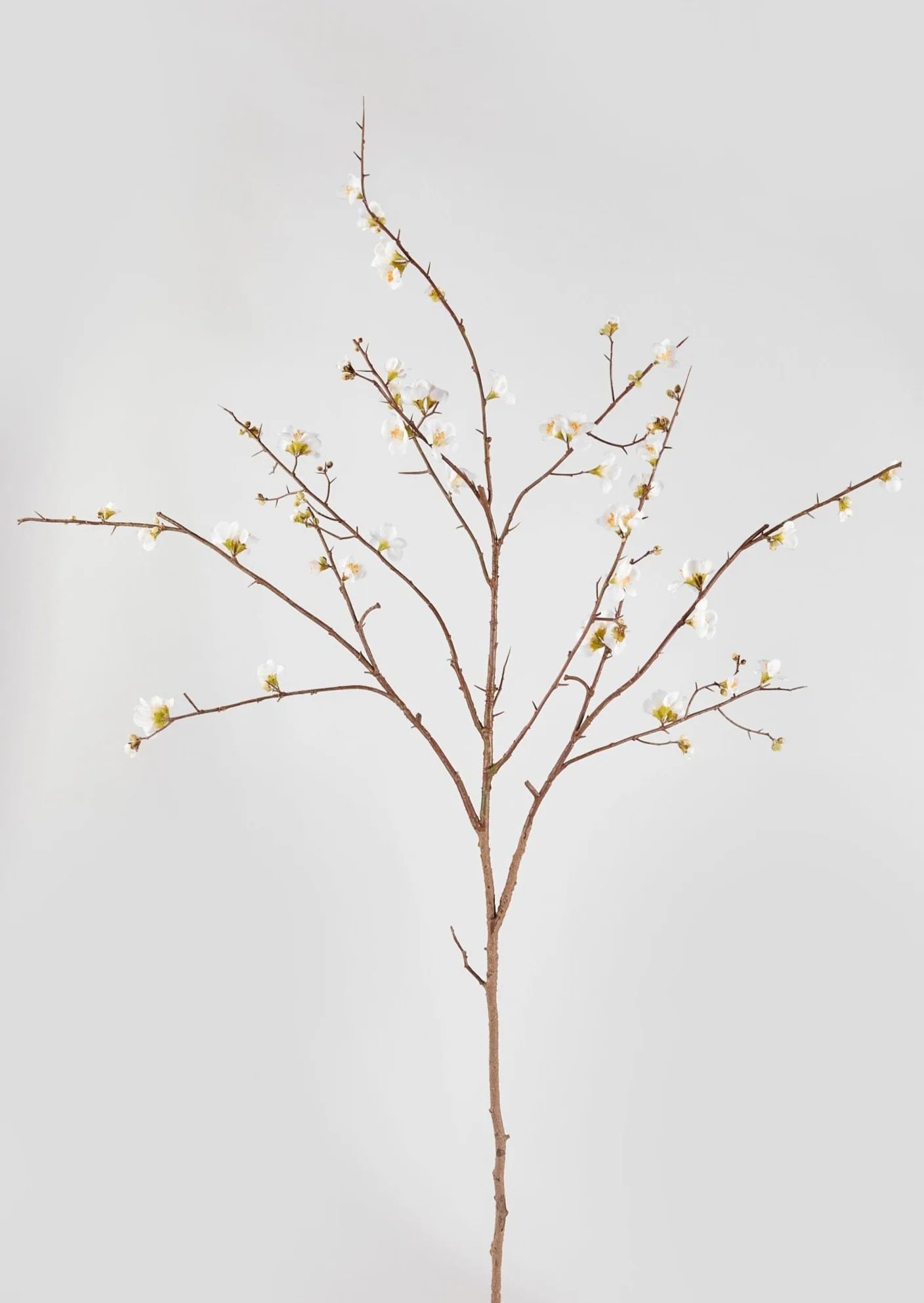 Cream Blossom Branch | Faux Branches | Afloral.com | Afloral