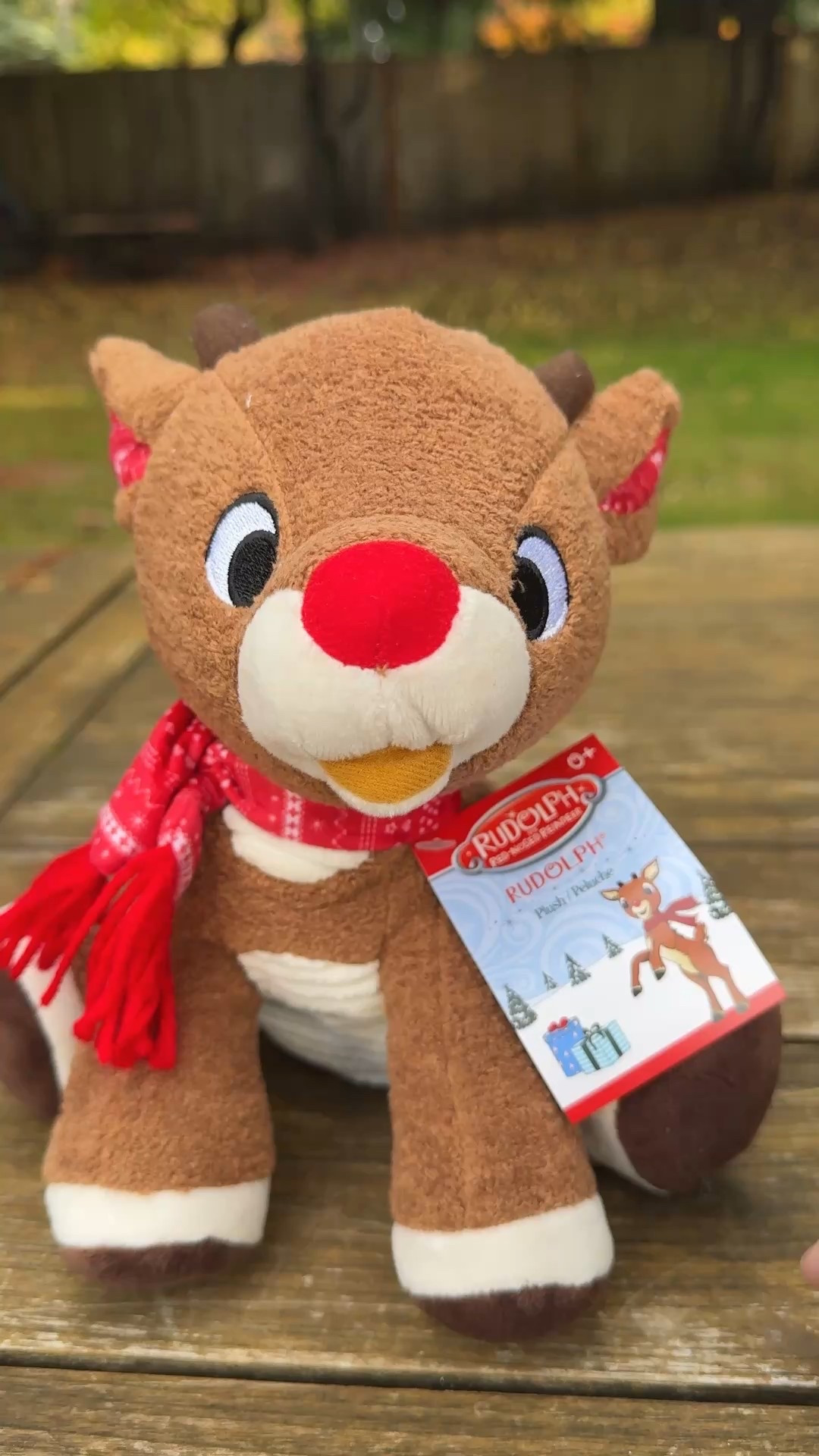 Kids Preferred Rudolph the Red - Nosed Reindeer Plush Toy 

#LTKBaby #LTKSeasonal #LTKHoliday