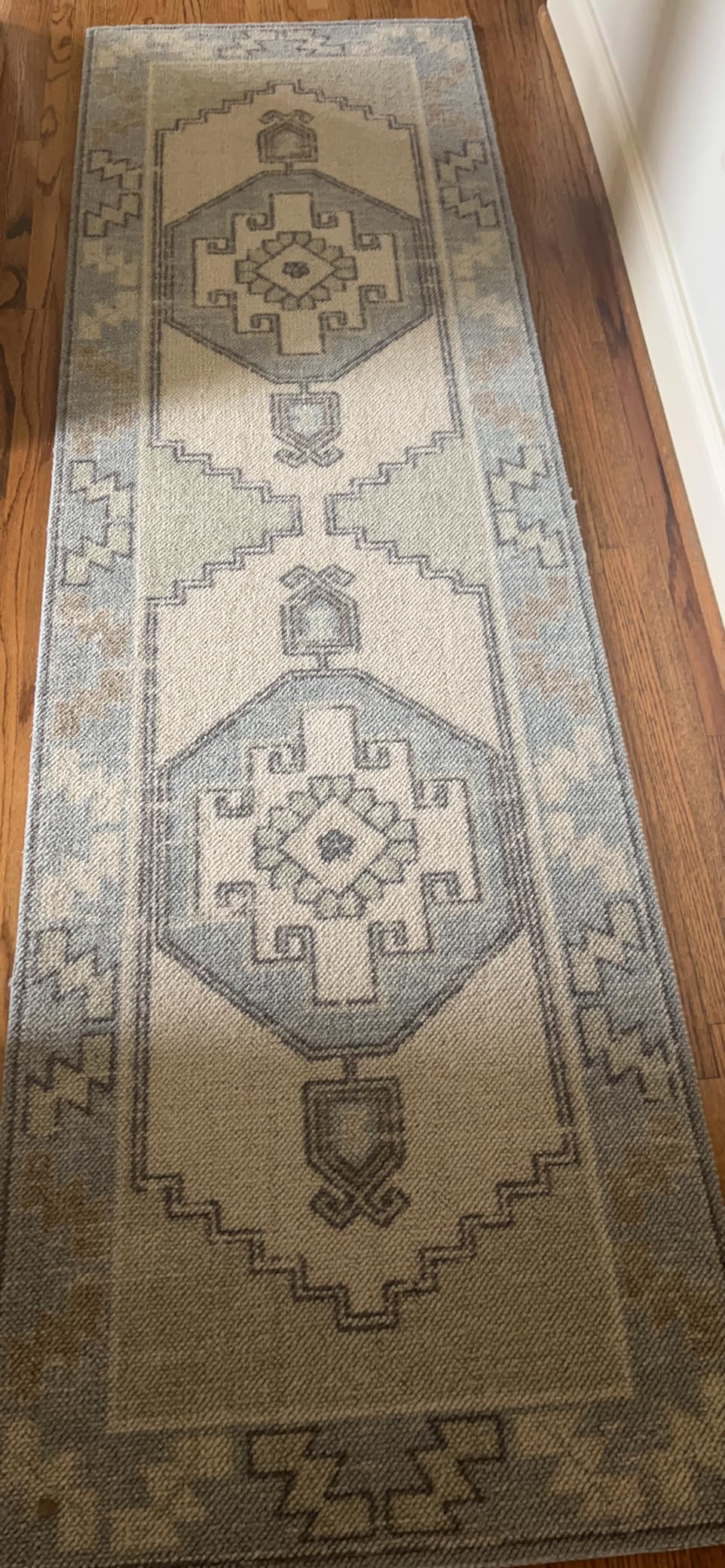 Visit the Momeni Store | Amazon (US)