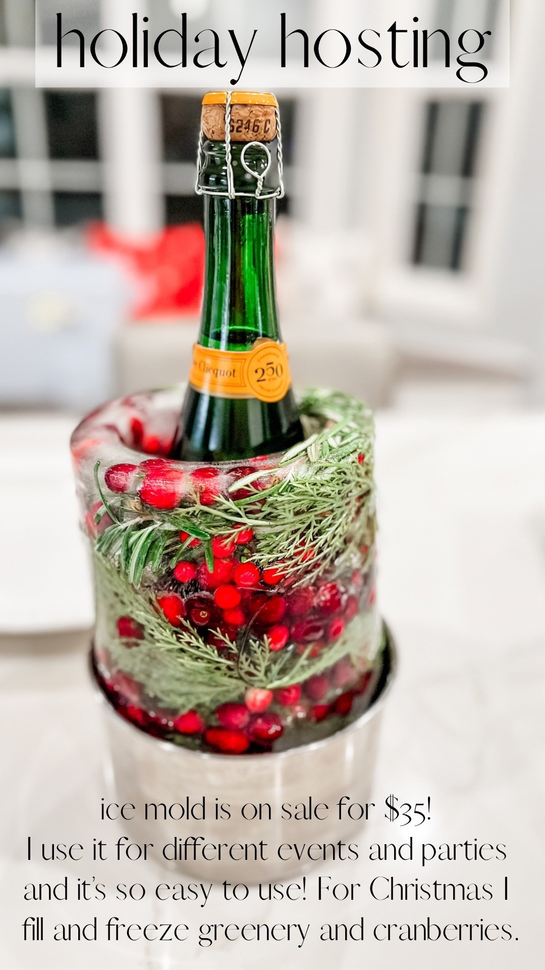 This ice mold is always a show stopper! It’s so easy to use. You fill with water, add your filler (I use cranberries during the holidays), freeze, and use hot water to loosen the mold. 

Holiday hosting, holiday party, hostess gift, Christmas party 

#LTKHoliday #LTKCyberWeek #LTKHome