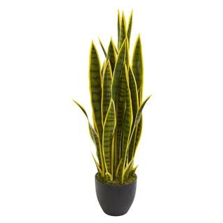 3ft. Potted Snake Plant | Michaels Stores