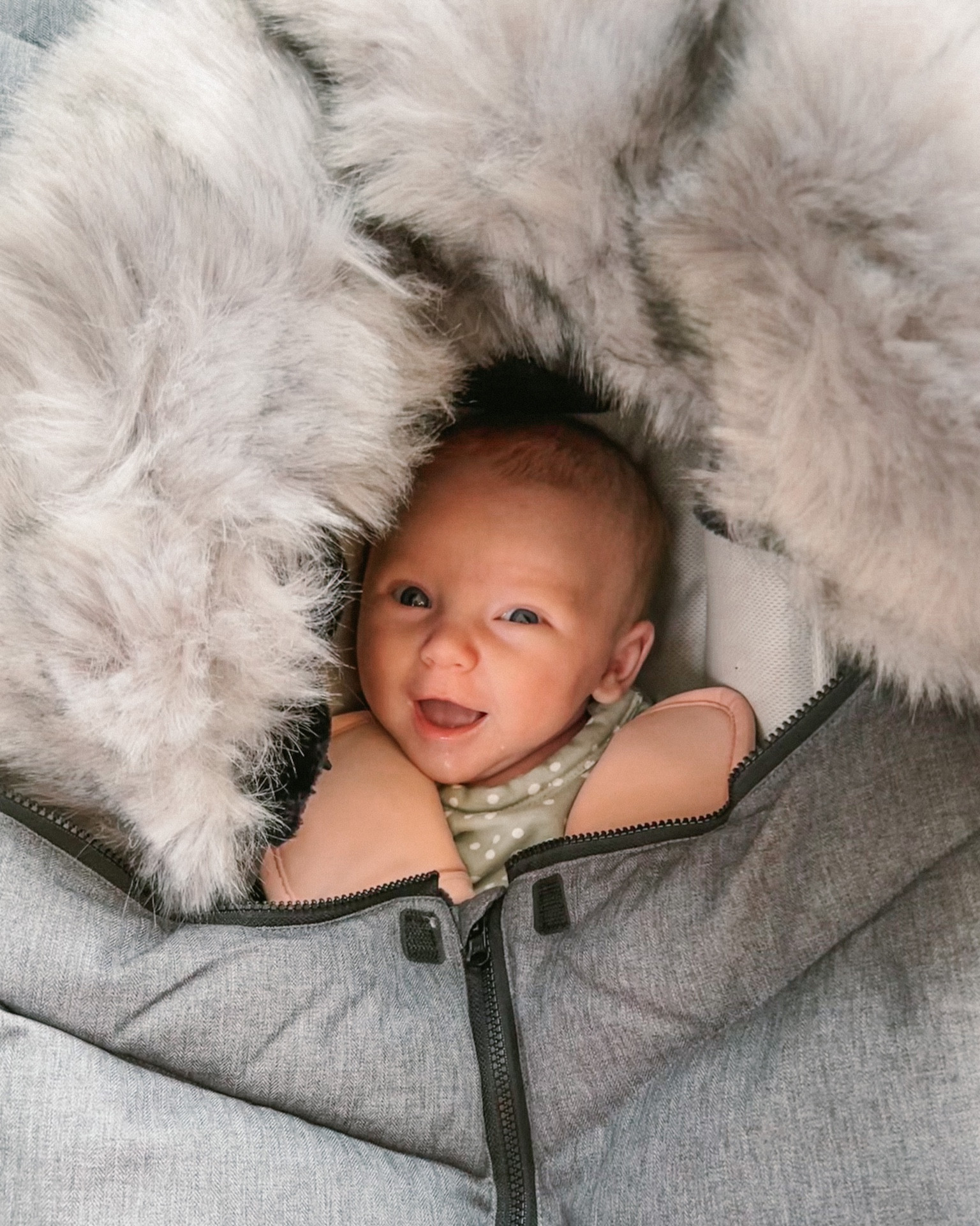 The car seat cocoon from 7AM Enfant is the last cover you’ll ever need! 🐛

#LTKHoliday #LTKfamily #LTKGiftGuide