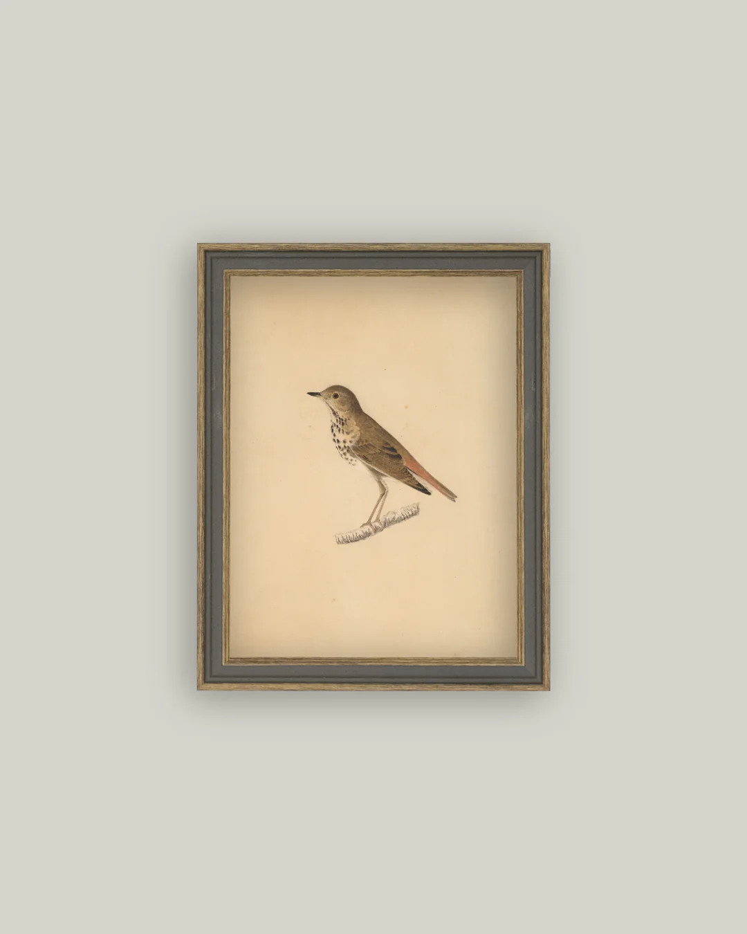 Bird | Petal Lane