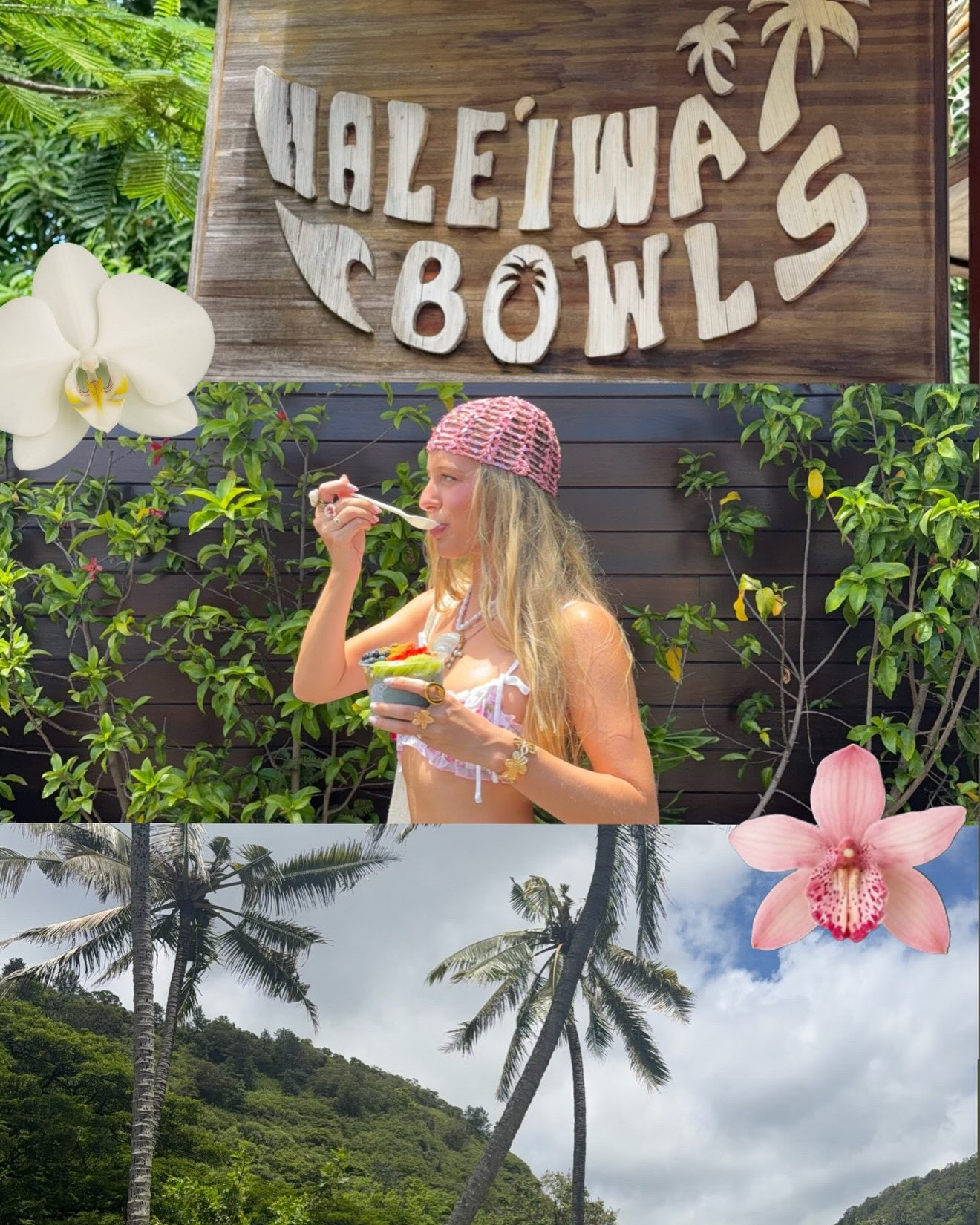 postcards from paradise🌸🌺

Hawaii photo dump, Oahu, north shore, tropical vacation