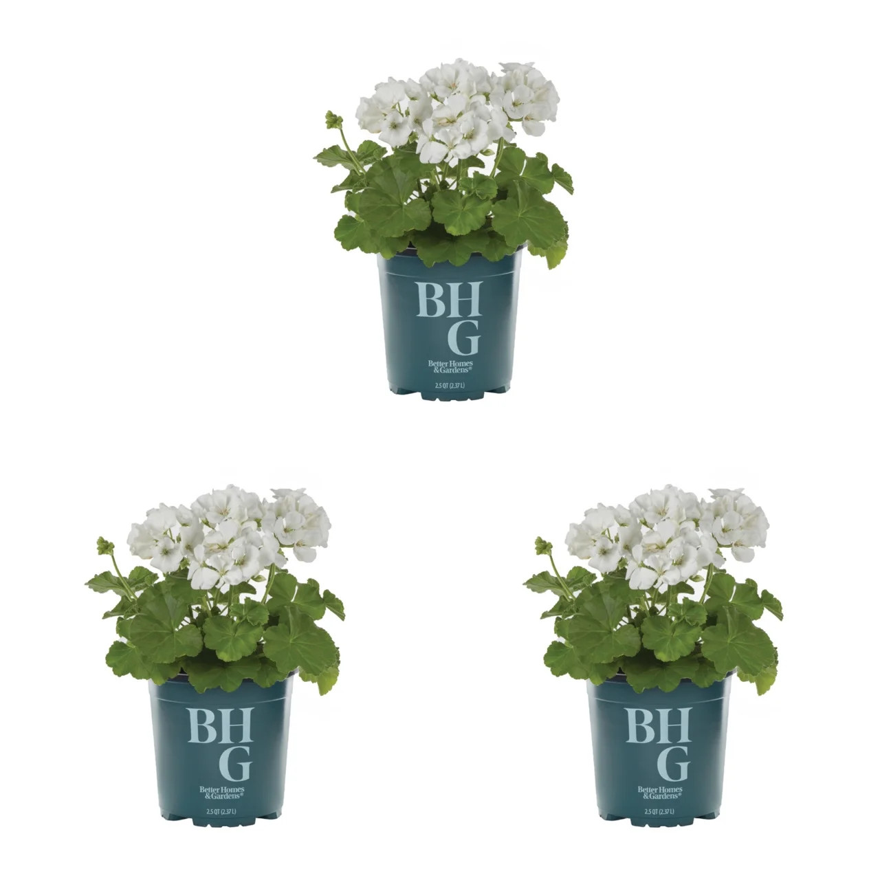 Better Homes & Gardens 2.5QT White Geranium Plant Grower Pot Sun 3-Pack | Walmart (US)