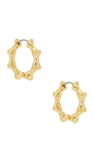 Eddie Borgo Bambu Hoops in Metallic Gold. | Revolve Clothing (Global)