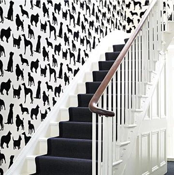 Best in Show Wallpaper in Black from the Walk in The Park Collection by Osborne & Little | Burke Decor