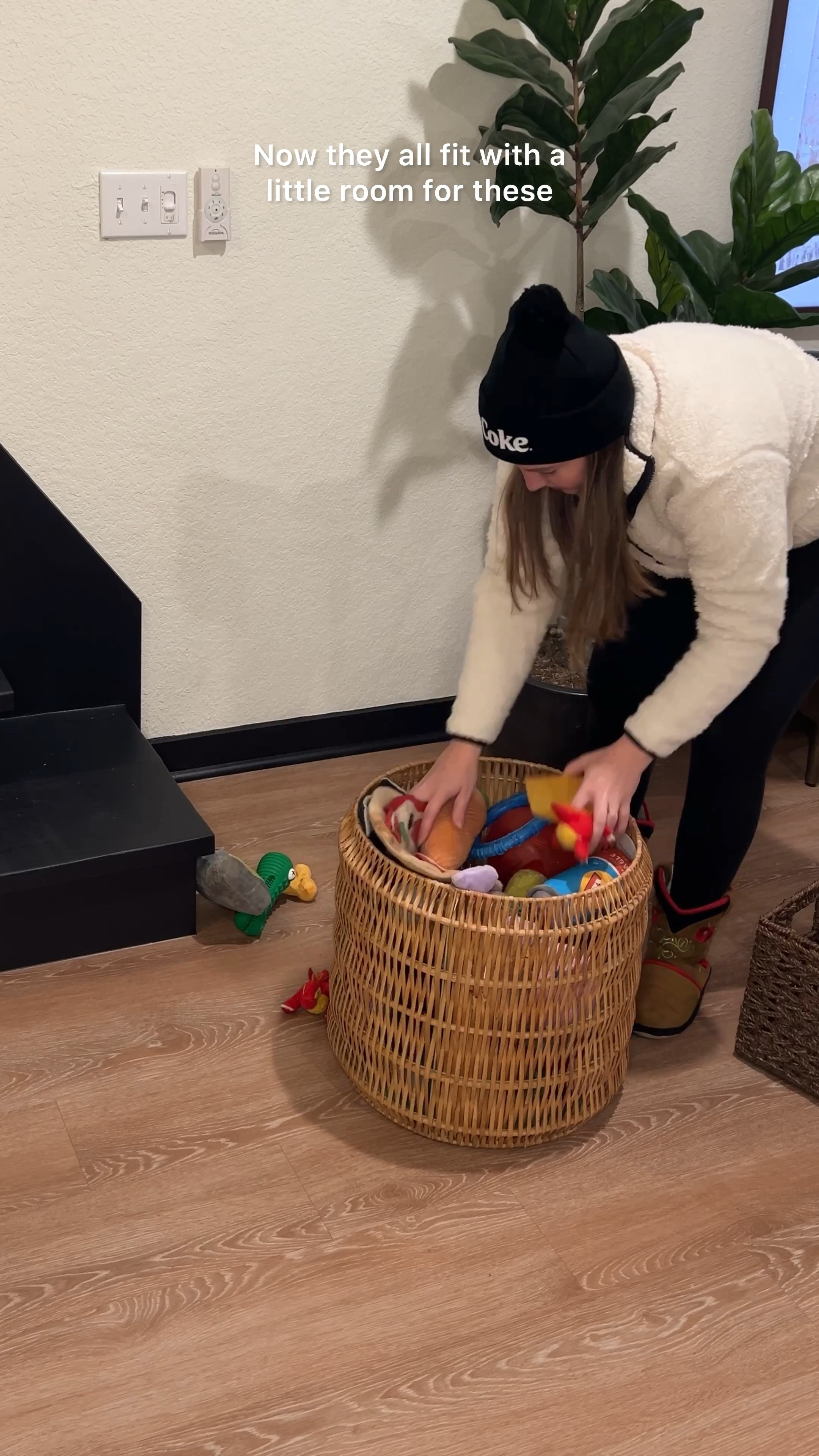 This is your sign to upgrade your dogs toy basket! 

#LTKfindsunder50 #LTKhome #LTKVideo