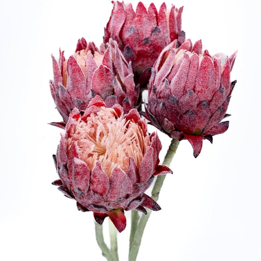 4 Pack Artificial King Protea Flowers – Lifelike Tropical Floral Arrangements for Wedding Cente... | Amazon (US)