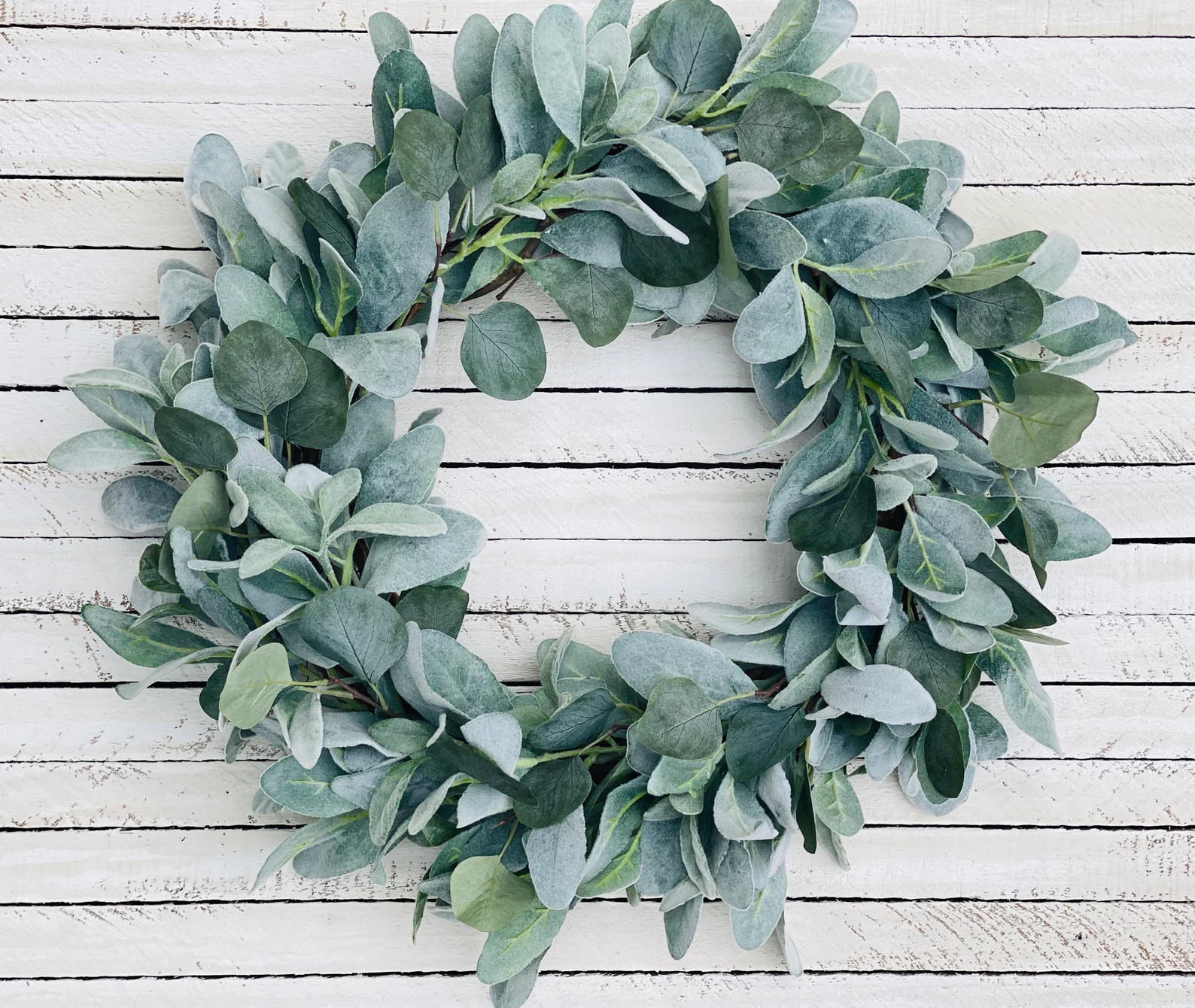 Year Round Lambs Ear and Eucalyptus Wreath Year Round | Etsy | Etsy (US)