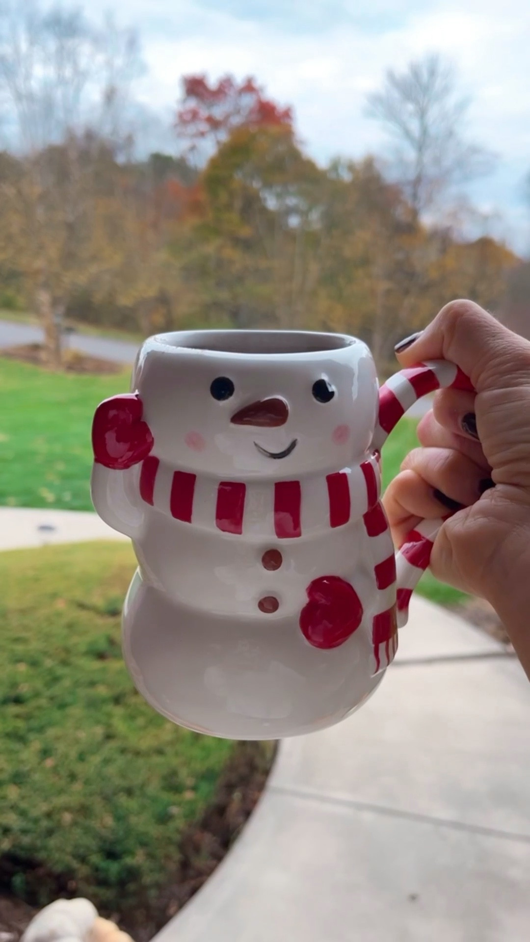 The holiday mugs at target are my favorite every year!! I grabbed the adorable snowman this year!⛄️ ☕️

#LTKHoliday #LTKStyleTip #LTKFindsUnder50