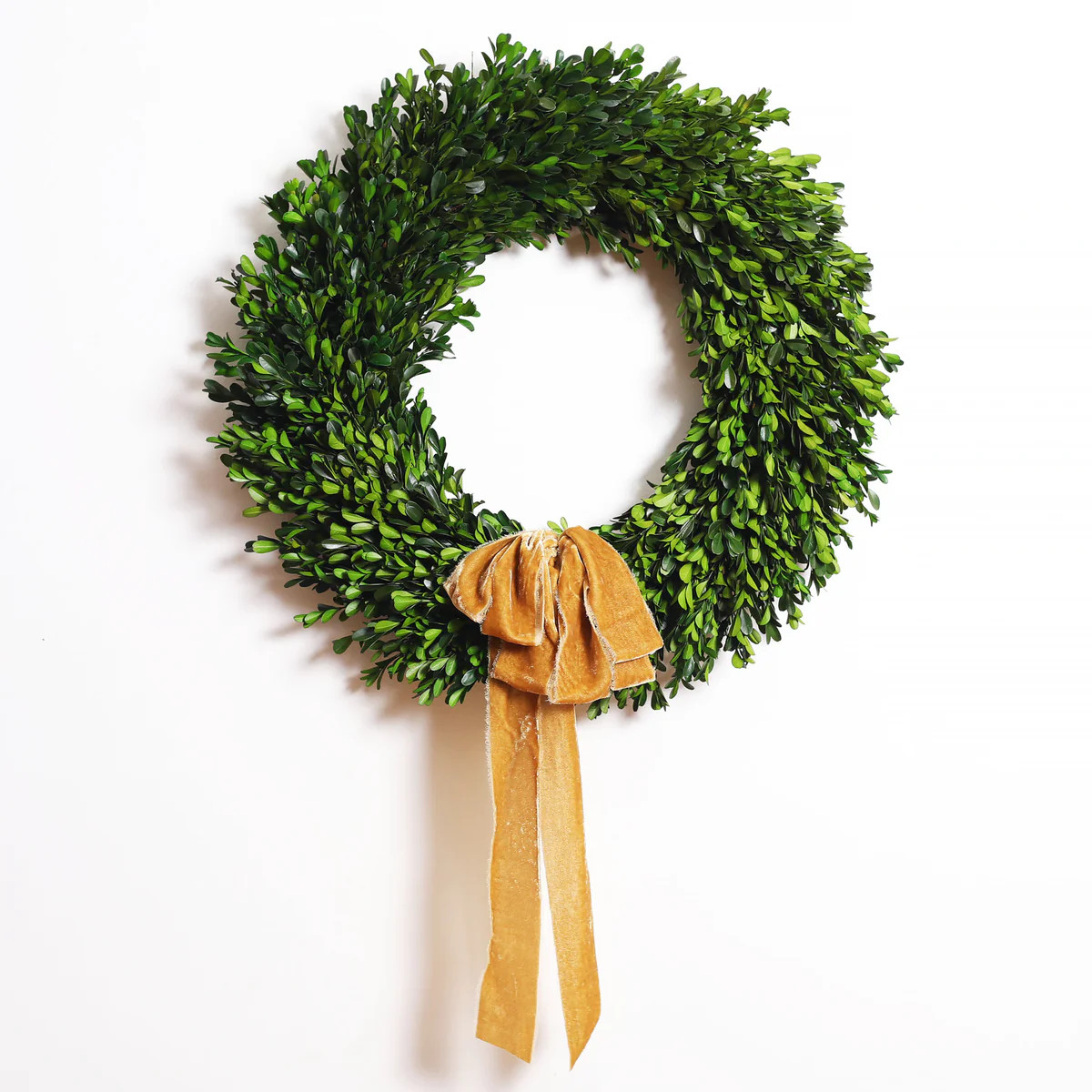 Natural Preserved Green Boxwood Front Door Wreath with Velvet Ribbon | Darby Creek Trading
