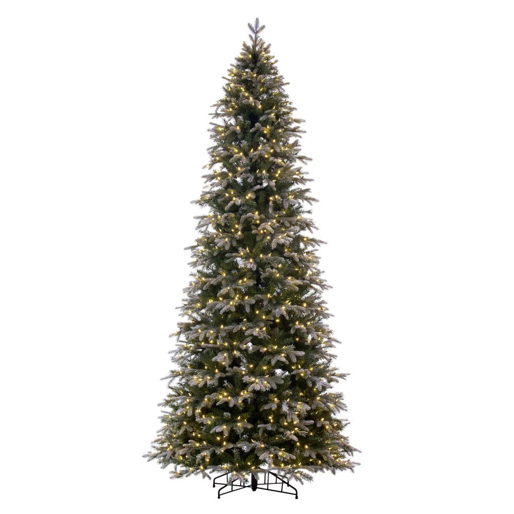 Hadewig 10' Lighted Fir Christmas Tree | Wayfair North America