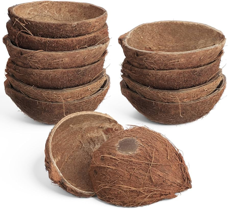LemonRoad 12 Pcs Natural Coconut Shell Bowl Halves About 2/5 the Size of a Coconut Smooth Bottom ... | Amazon (US)