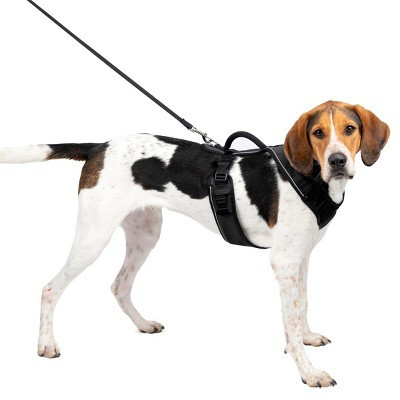 PetSafe EasySport Adjustable Dog Harness - L - Black: Nylon, Comfort-Grip, Reflective, Reinforced Stitching | Target