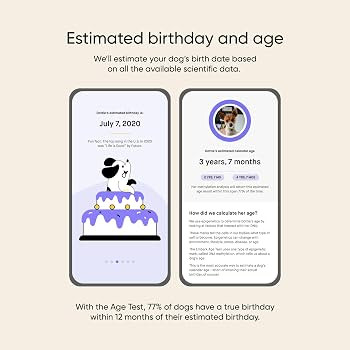 Embark Dog Age Test Kit - Estimates Age and Birthday - DNA Methylation - Best for Dogs Past Puppy... | Amazon (US)