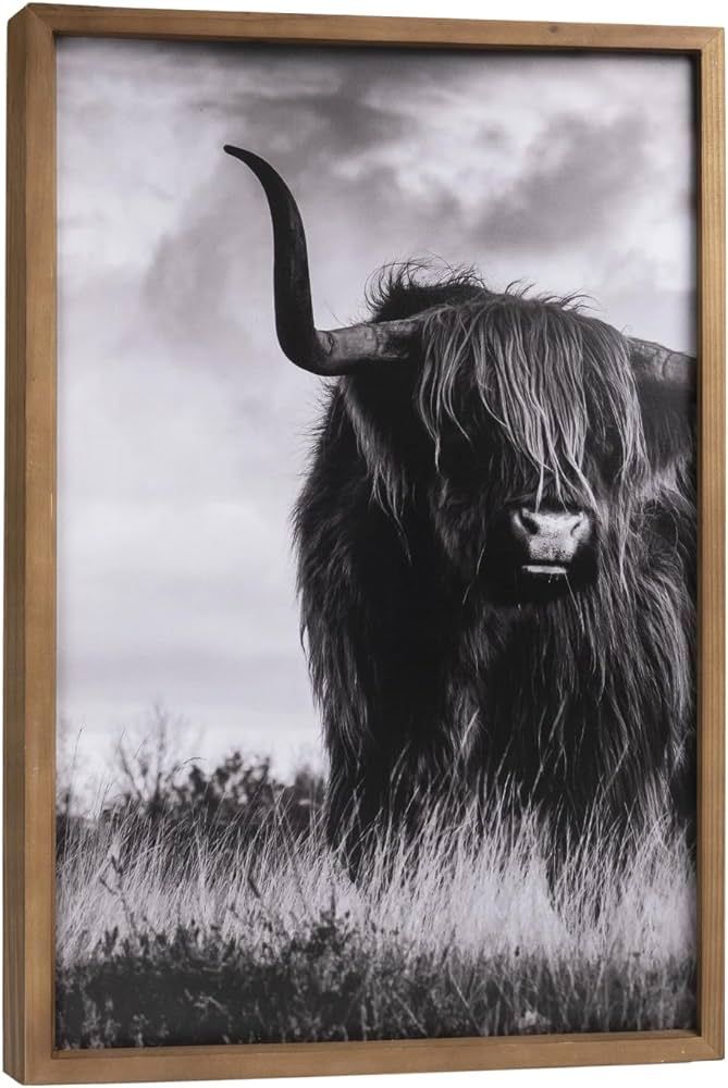 Highland Cow Wall Art 23.7 * 15.8 Inchs, Wooden Western Wall Decor, Solid Wood Frame, Living Room... | Amazon (US)