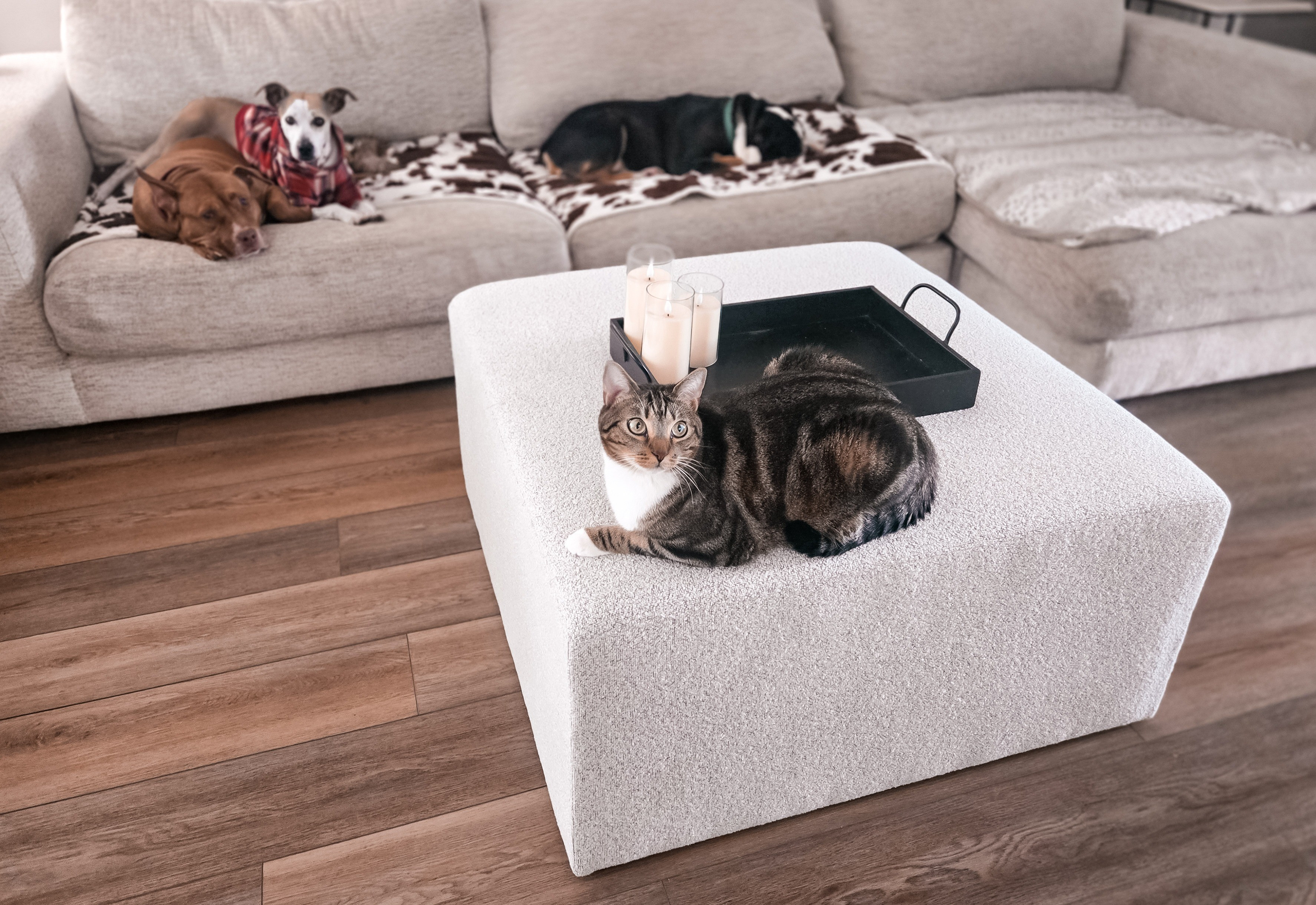 Our new ottoman by Hearth & Hand!✨️Lightweight, perfect color, comfy, and made well!

#LTKHome #LTKSaleAlert #LTKFamily