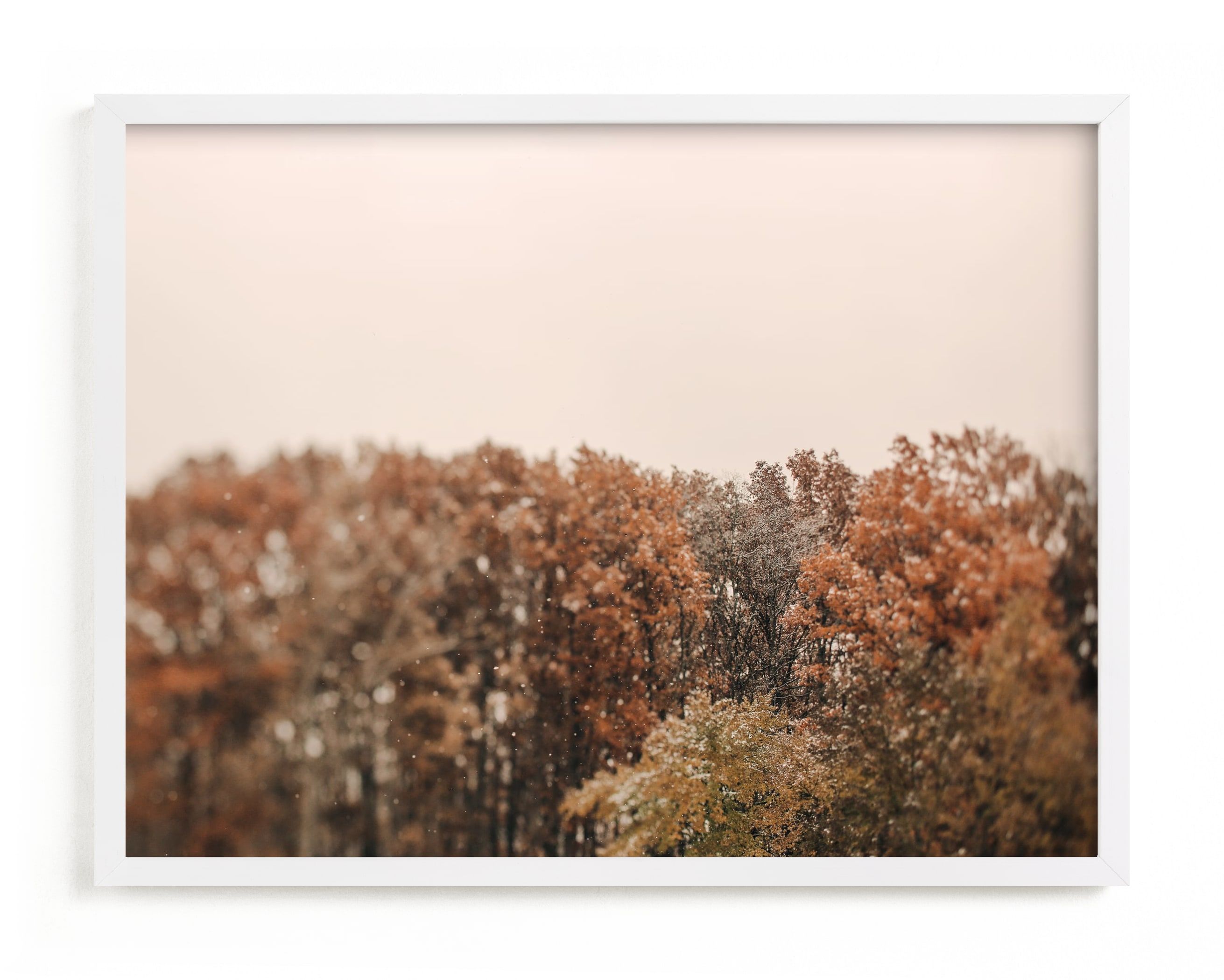 "Oak Leaves and Snowflakes" - Photography Limited Edition Art Print by ALICIA BOCK. | Minted