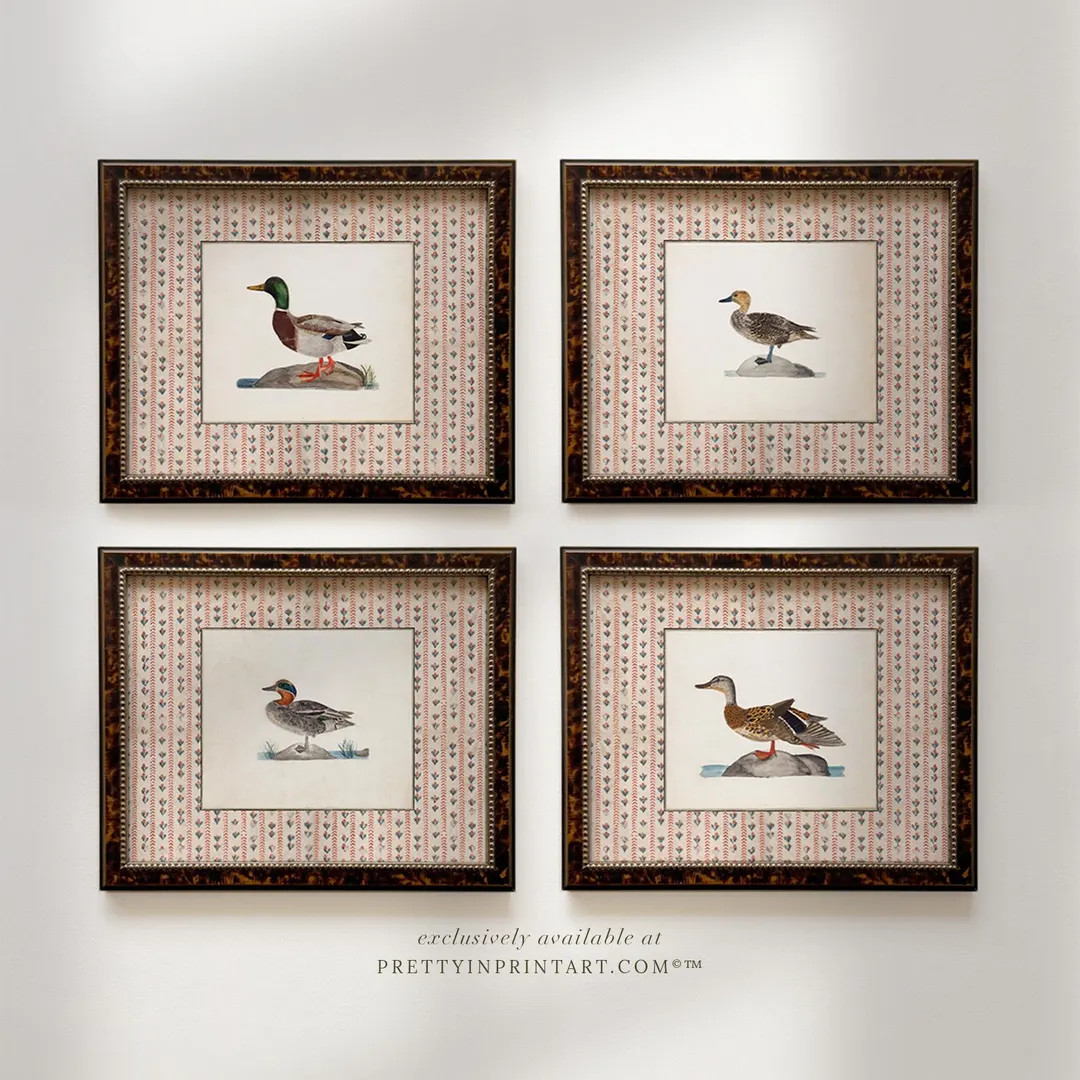 Vintage Art Prints; Ducks | Unframed - Etsy | Etsy (US)