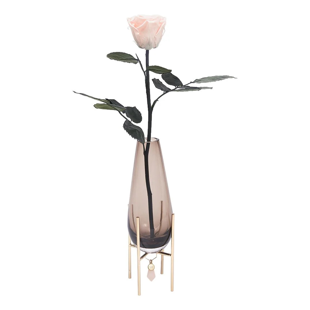 Florentina | Venus ET Fleur