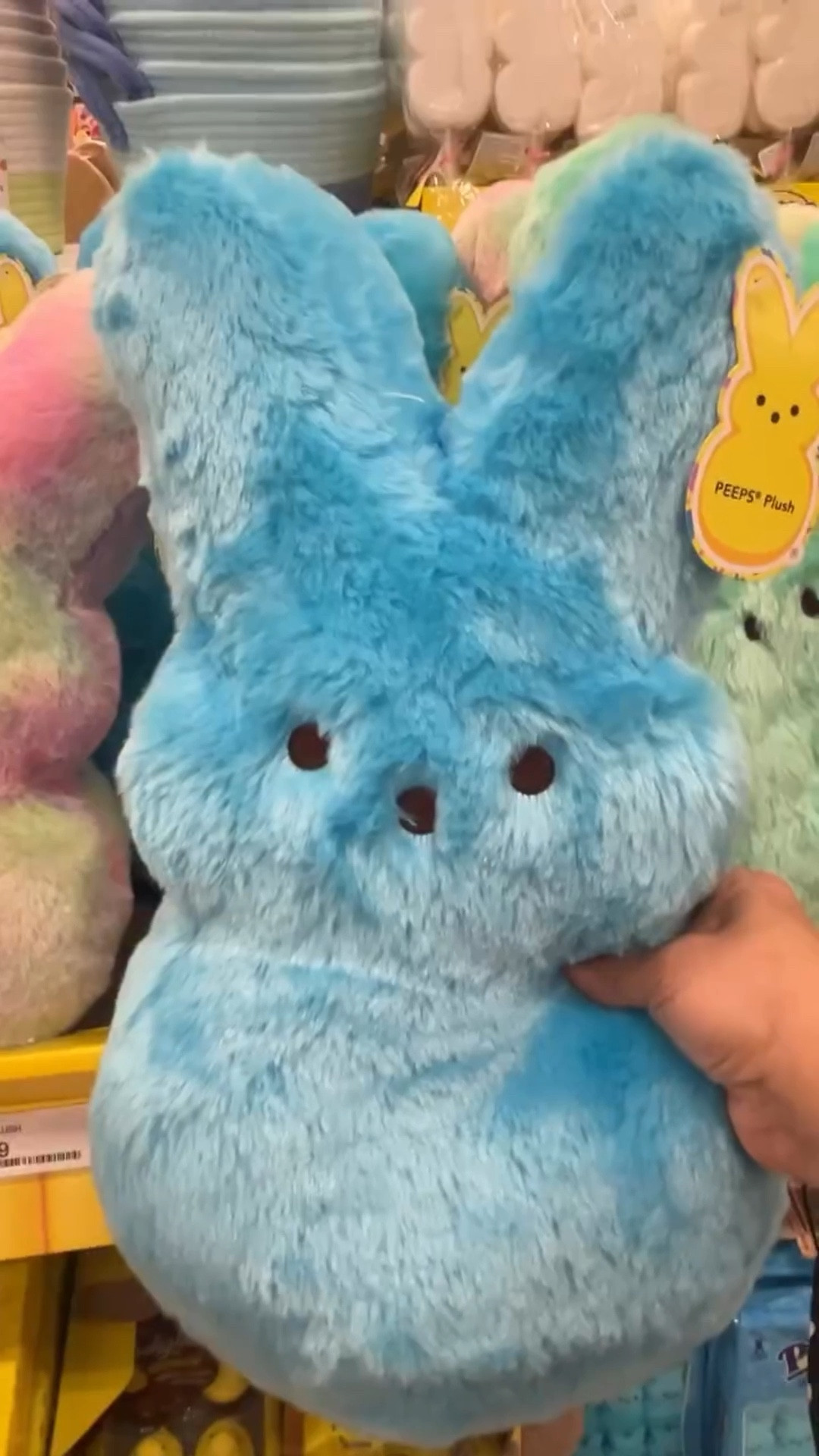 Find the cutest things for Easter at @target 
#easterfinds #easterfindgiftideas #essterbunniesattarget #eastercandies

#LTKSeasonal #LTKdayinmylife #LTKSpringSale