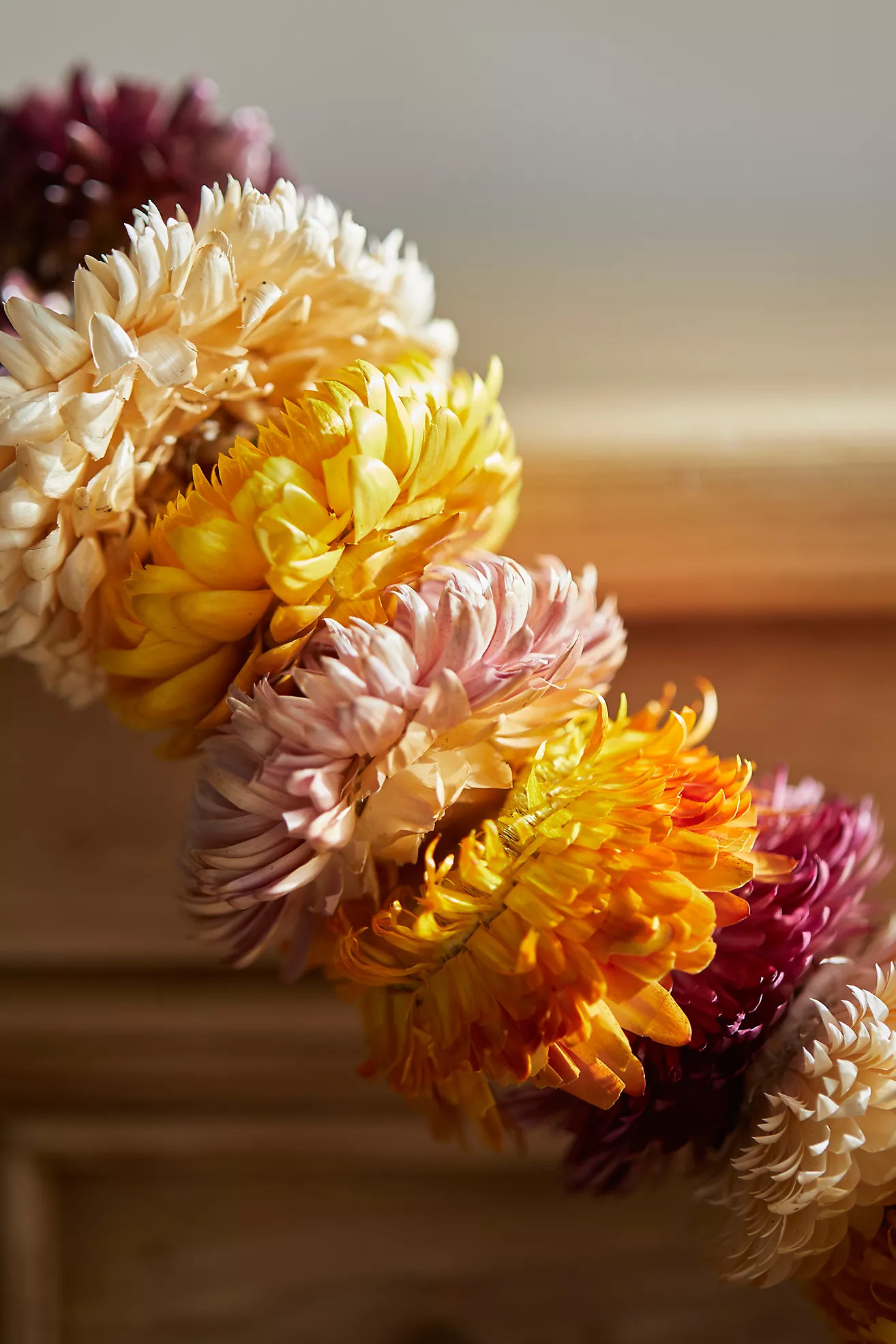 Preserved Helichrysum Garland | Anthropologie (US)