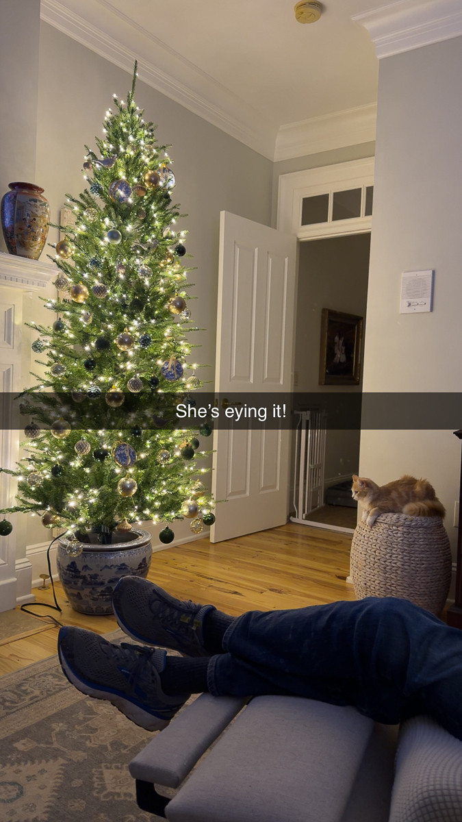  
Add a chinoiserie pot to your Christmas tree by adding concrete and pvc pipe to a plastic bucket. This is the 16 inch chinoiserie planter and 7-1/2 foot slim tree from Home Depot. Love it! Could easily accommodate a tall agree tree. 
 

#LTKHome #LTKHoliday #LTKSeasonal