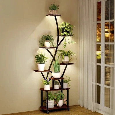Modern Lighted Plant Shelf | Wayfair North America
