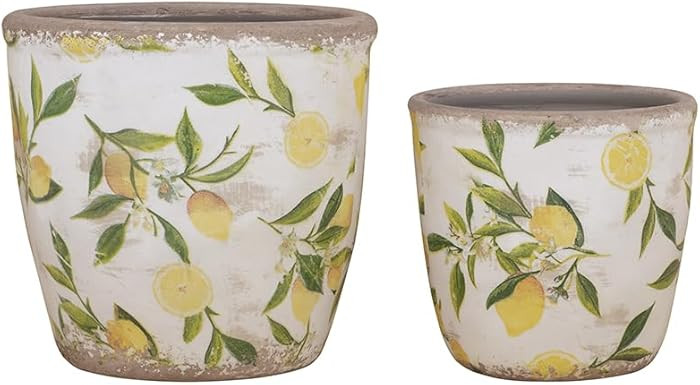 Set of 2 Ceramic Flower Pots with Yellow Lemon Design, Indoor Outdoor Planters for House Plants, ... | Amazon (US)