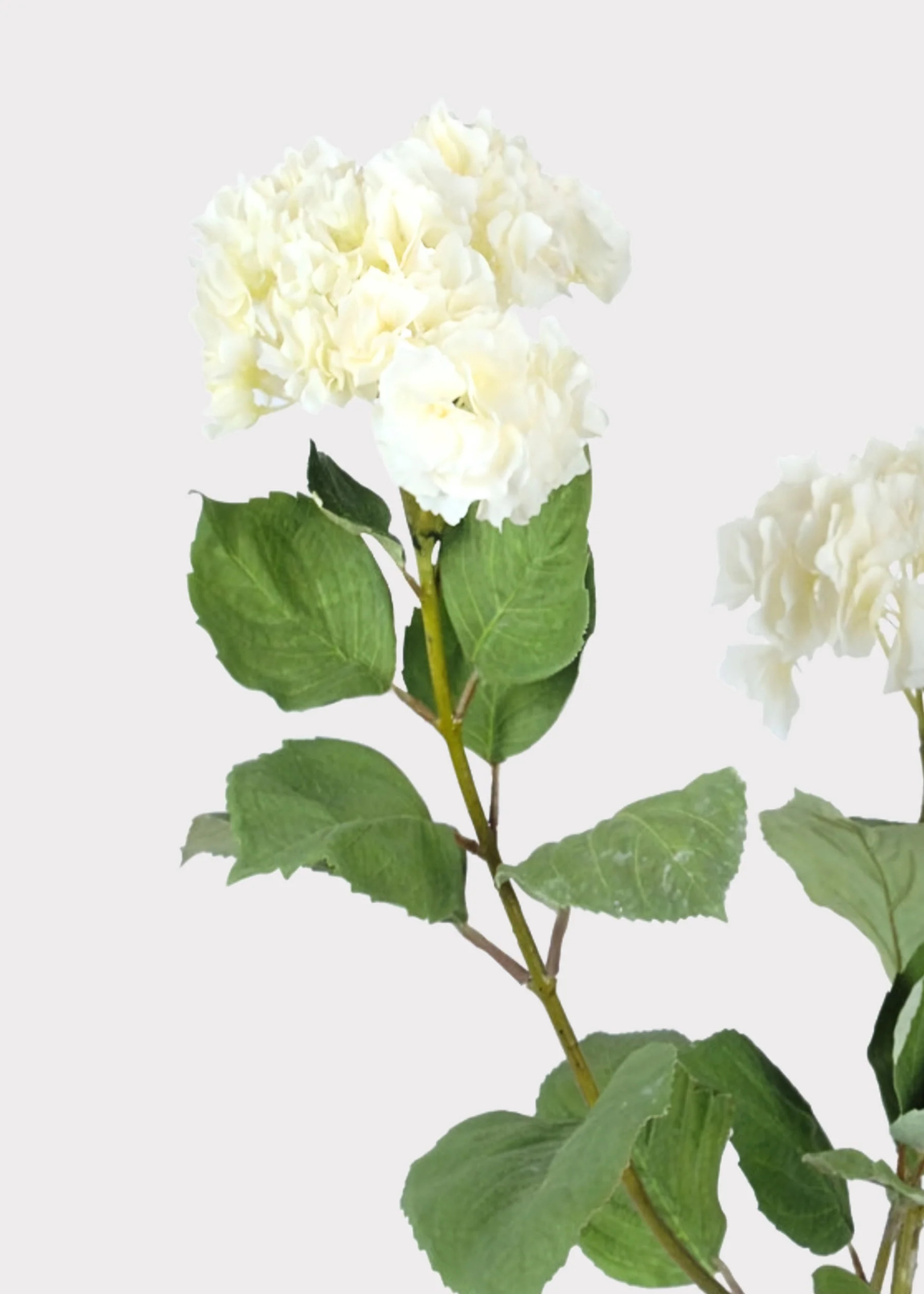 Cream Deluxe Hydrangea Branch | Lifelike Fake Flowers | Afloral | Afloral