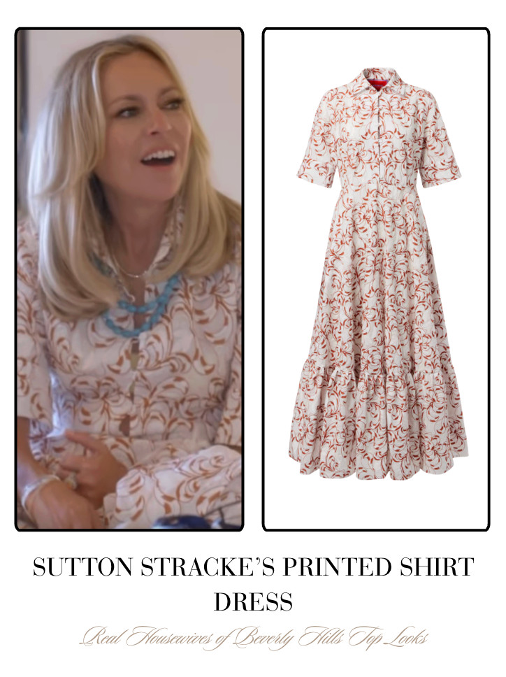 Sutton Stracke's Printed Shirt Dress 

 