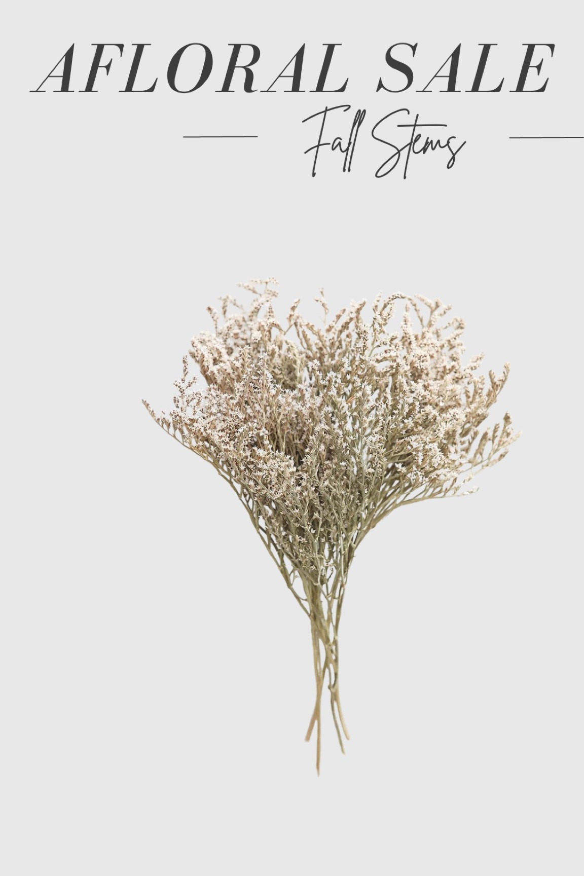 All Alfloral Fall Stems - 25% off with code - NORFOLK ✨🍂

✨FOLLOW me on Instagram - @homewithtayy ✨

follow @homewithtayy on Instagram for all your neutral organic home decor and styling tips, affordable home finds, furniture, Amazon home finds, Target home finds, artificial flowers and plants, designer decor, designer inspired decor, simple diy, dining room decor, modern kitchen, floating shelf styling, living room decor, decorative vases, decorative bowls, trending home decor, Anthropologie home decor, hm home decor, sale, trending items, back in stock, crate and barrel, pottery barn, decor reviews, candles, kirklands, faux florals, hosting inspo, interior design, interior decorating, house staging, target new arrivals, pillows, blankets, wall art, wall decor, picture light, lamps, bedding, Brooklinen, parachute home, spring decor, fall decor, summer decor, couches, night stands, end tables, home inspo, builder grade home, builder grade upgrades, designer inspired home, walmart, studio mcgee X target, wood, natural oak, white wash, modern organic home, h&m home, world market, home finds

#LTKfindsunder50 #LTKhome #LTKSeasonal
