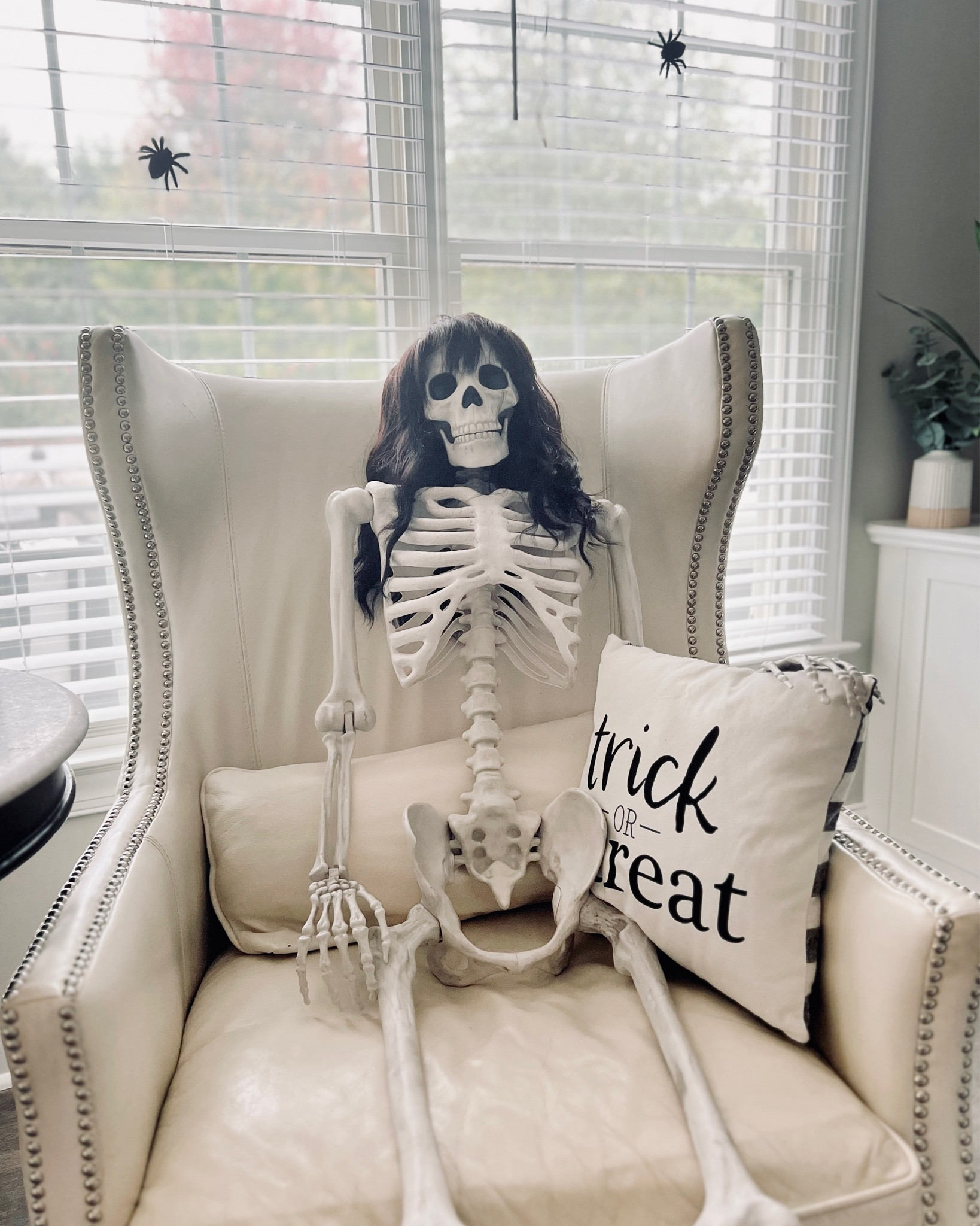 Halloween decor

#LTKHalloween #LTKhome