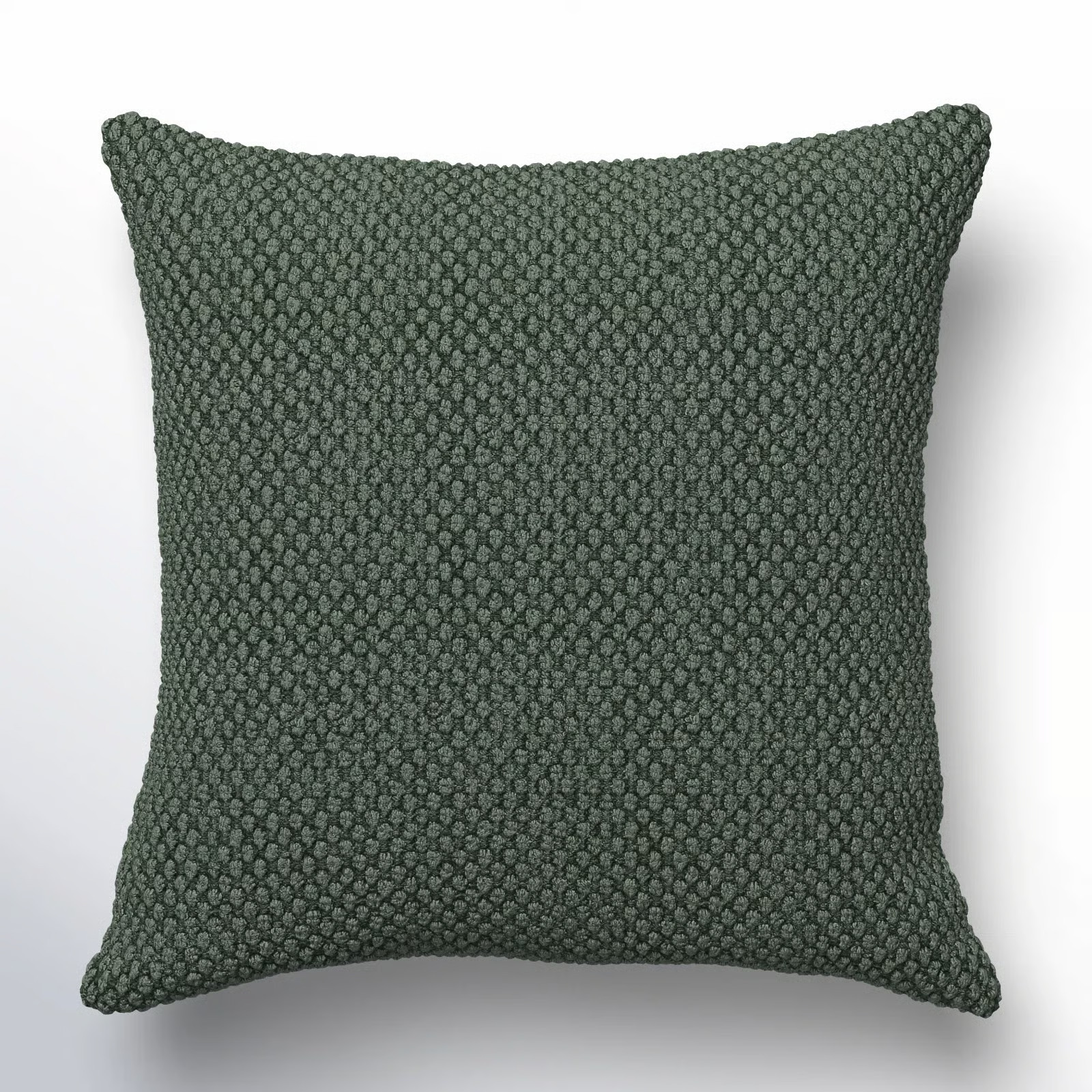 Saskia Embroidered Throw Pillow | Wayfair North America