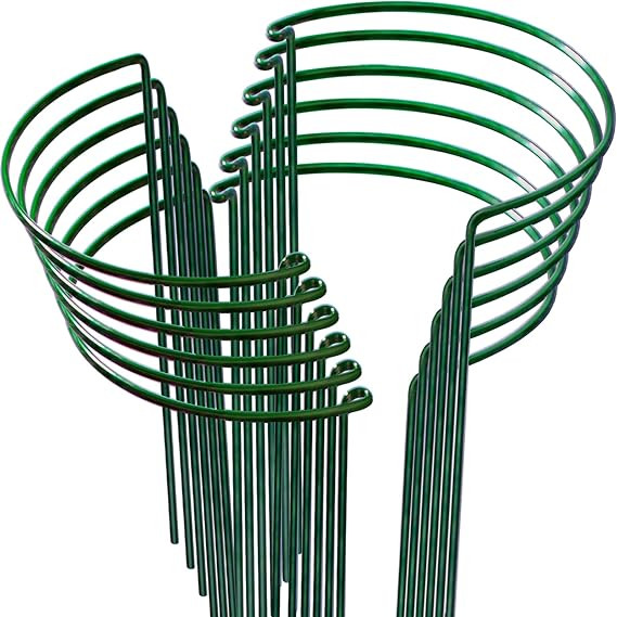 LEOBRO 12PCS Plant Supports, Peony Cages and Supports, Plant Stakes, Plant Support Stakes for Ind... | Amazon (US)