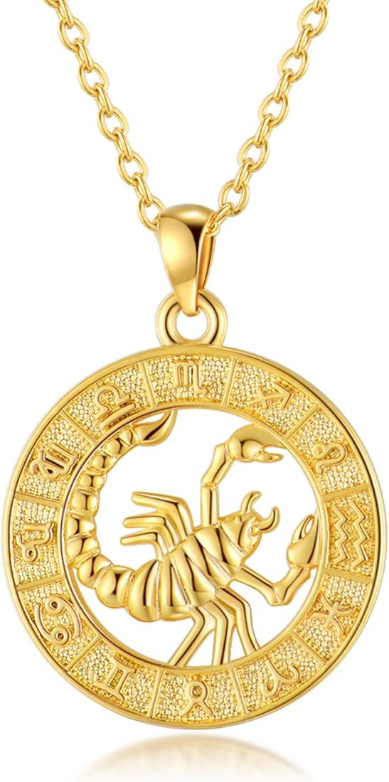 Zodiac Sign Necklaces for Women Gold Coin Constellation Pendant Necklaces Horoscope Jewelry Birth... | Amazon (US)