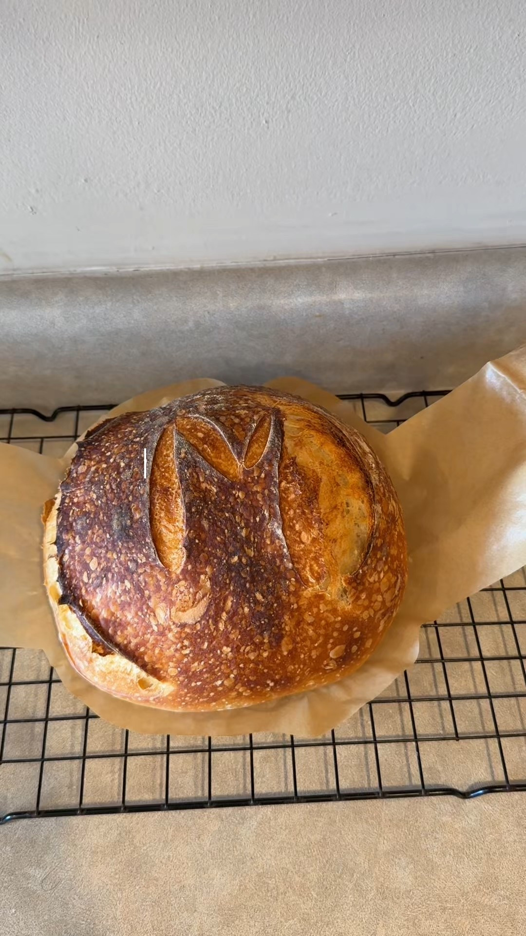 Good morning! Getting back into my routine with working out and trying out making sourdough for the first time!! Has anyone else been on the sour dough train?




#LTKmorningroutine #LTKgrwm #LTKdayinmylife