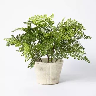 18" x 15" Artificial Fern Plant in Pot - Threshold™ designed with Studio McGee | Target