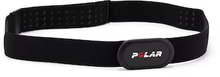 Polar   H10 Heart Rate Sensor - M-XXL Strap | REI