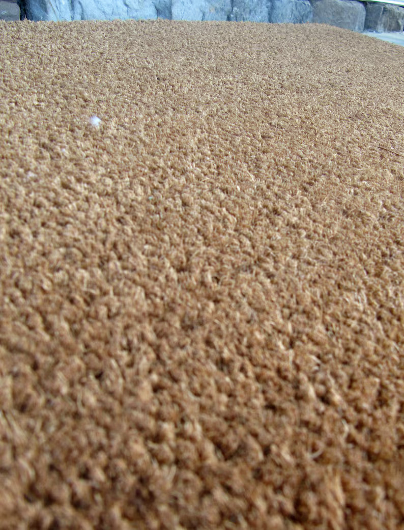 Skull Doormat Customized Doormat Fall Doormat Spring - Etsy | Etsy (US)