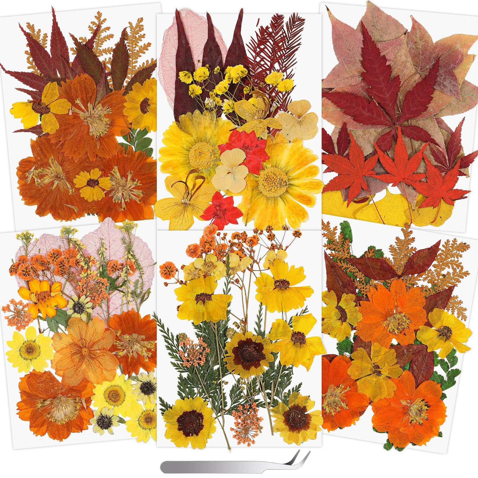 Real dried pressed flowers | Amazon (US)