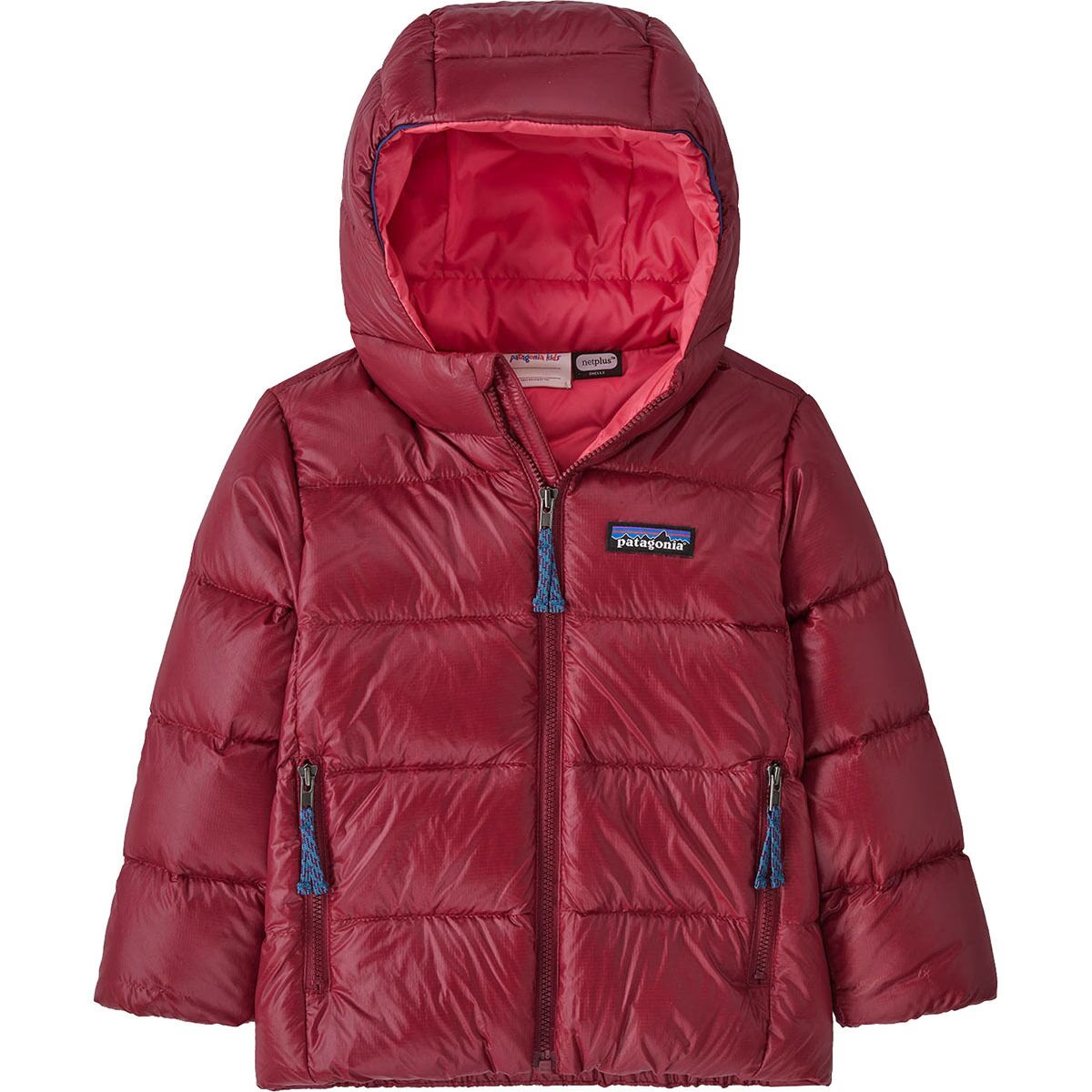 Patagonia Hi-Loft Down Sweater Hoodie - Toddlers' - Kids | Backcountry