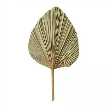 2x Dried Palm Leaves Natural Dried Palm Spears Dried Palm Fans Dried Flower Bouquet Wedding Home Par | Walmart (US)