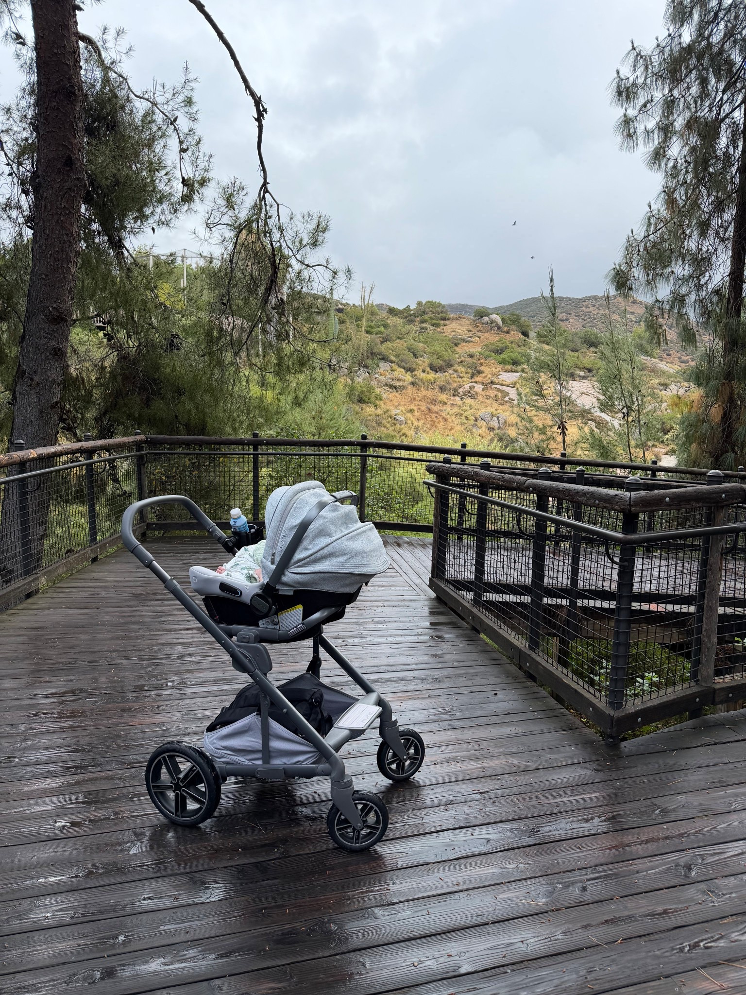 I’m not the biggest Nordstrom Anniversary Sale person in general, but if you’re a mom or mom-to-be looking at strollers or other big-ticket baby items, it’s absolutely worth paying attention to.

That’s when we got our Nuna Mixx Next + PIPA Urbn car seat bundle last year, and it ended up being such a good time to buy. A lot of times the stroller discounts are tied to bundles, so if you’re already planning on getting both pieces, it can be a really smart time to lock it in.

At the time, I was only a couple months pregnant and barely even showing, so I felt a little ridiculous buying a stroller that early 😂 but I’m so glad we did.

Also, this color is usually a Nordstrom-exclusive during the sale, and I’d bet this bundle will probably be back again. So if you’ve been eyeing Nuna or any other stroller / big baby item, definitely mark your calendar now.

—

Nordstrom Anniversary Sale stroller, Nordstrom Anniversary Sale baby gear, Nuna stroller sale, Nuna Mixx Next, Nuna PIPA Urbn, Nuna stroller bundle, Nuna car seat bundle, Nordstrom baby sale, big ticket baby items, stroller sale, luxury stroller sale, premium baby gear, baby registry essentials, stroller and car seat bundle, Nuna Nordstrom exclusive, Nordstrom exclusive stroller color, baby gear deals, best time to buy a stroller, mom to be shopping, pregnancy baby gear, first time mom baby gear, baby travel system, infant car seat bundle, designer baby gear, high end stroller sale 

#LTKKids #LTKBaby #LTKmomlife