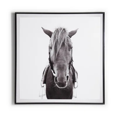 Stanica Horse - Photograph Framed on Paper | Wayfair North America