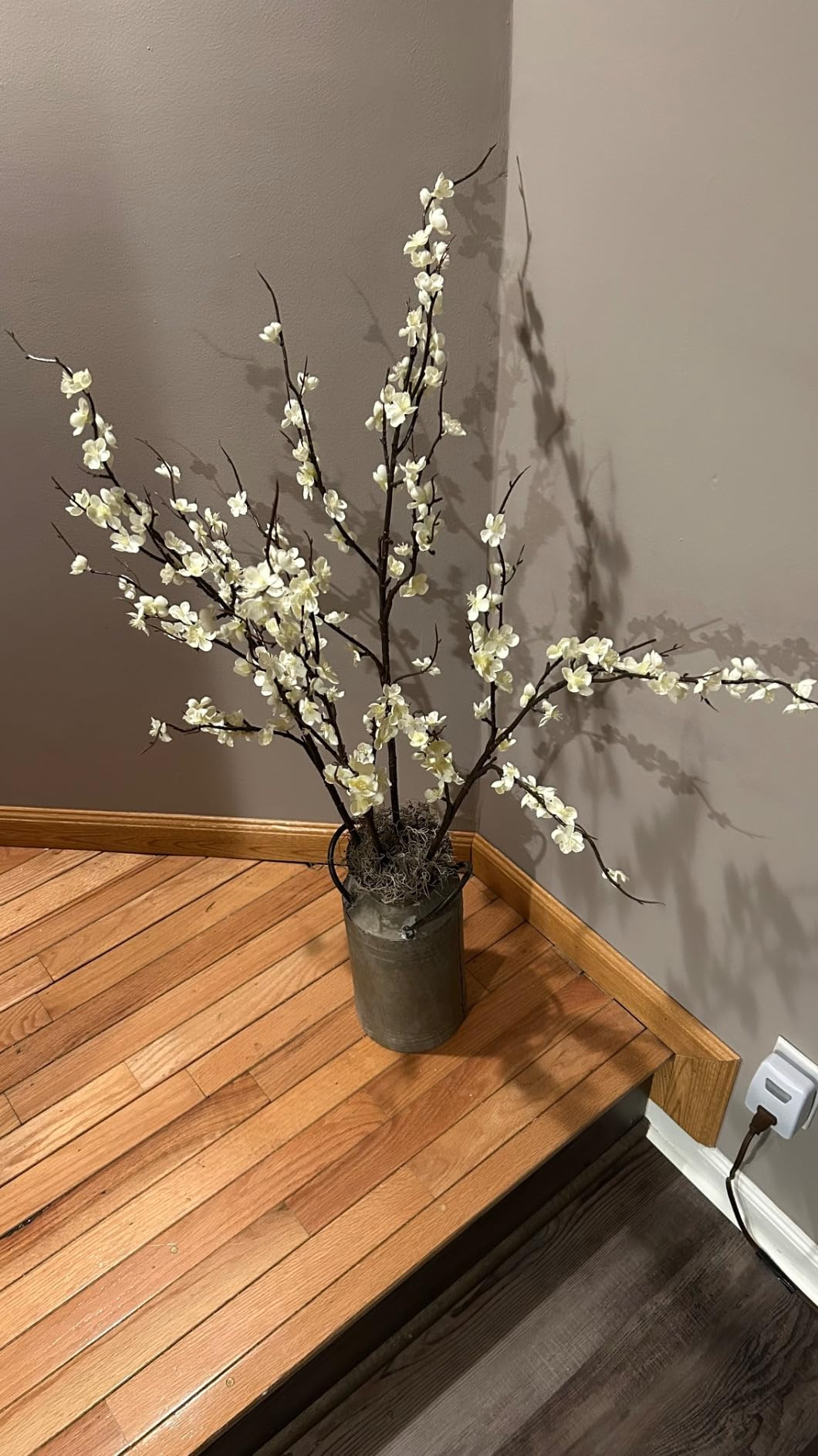 4Pcs Cherry Blossom Branches Artificial Flowers for Spring Summer Indoor Decoration,Faux Long Ste... | Amazon (US)
