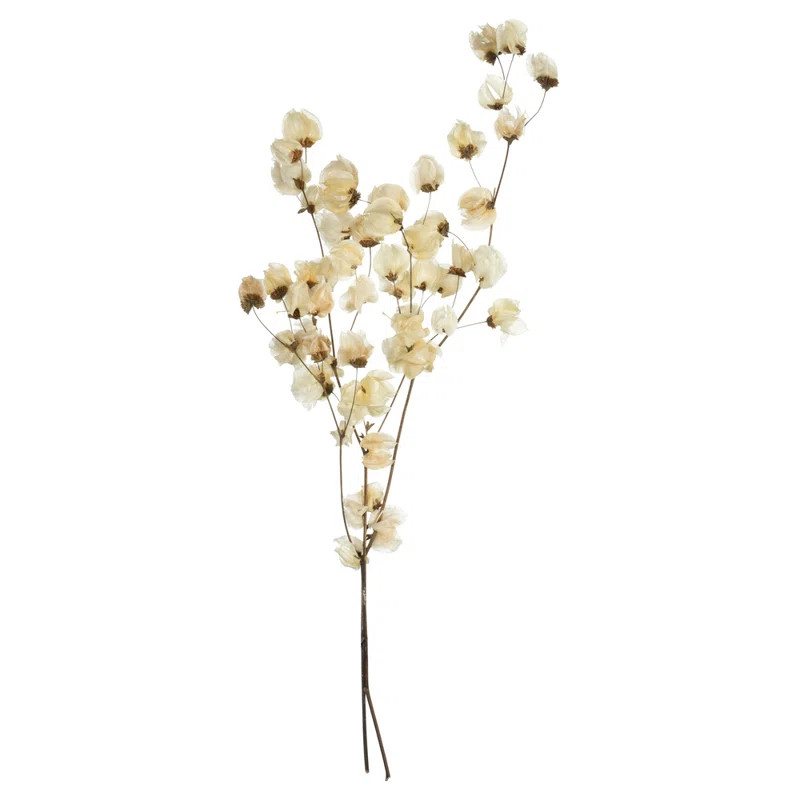Preserved Cara Blossom Arrangement | Wayfair North America