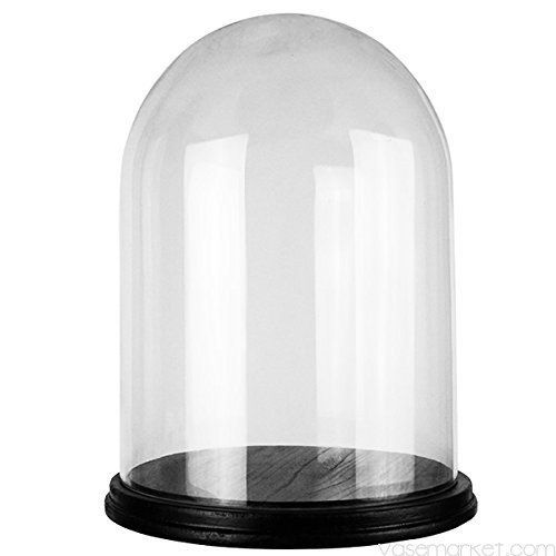 CYS GDO102-WB001/09BK Glass Cloche Dome with Black Wood Base, 16" | Amazon (US)